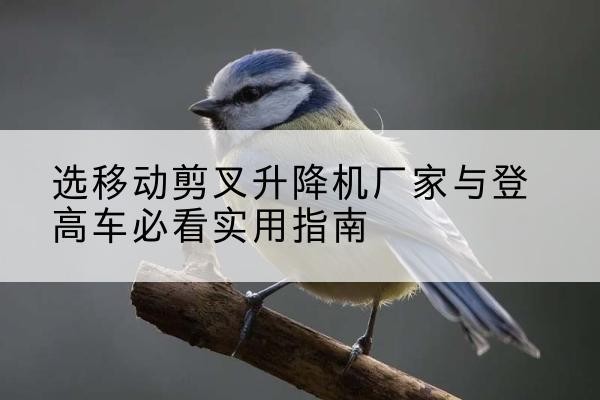 城区电动升降机厂家-选移动剪叉升降机厂家与登高车必看实用指南